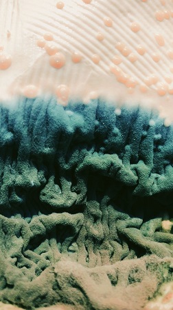 Mold-Removal-Hamilton