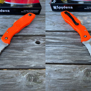 Spyder-Hawk