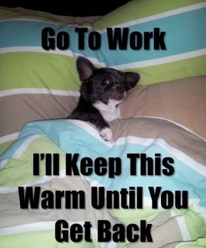 bed.jpg