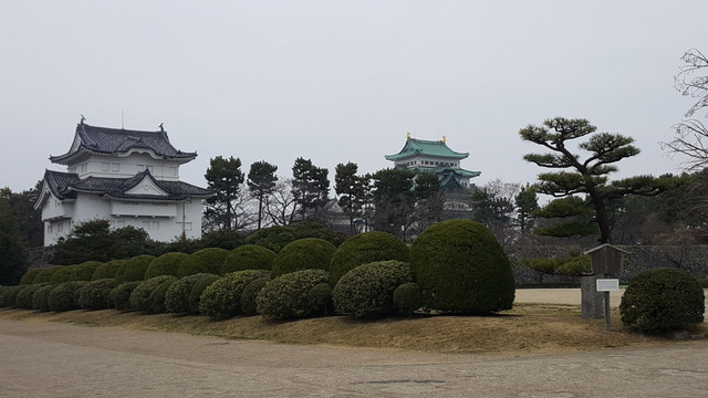 20190303-063247