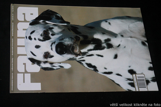 IMG-7754.jpg