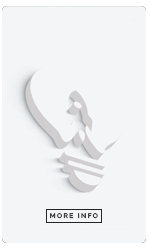 Elite | Logo Reveal - 2