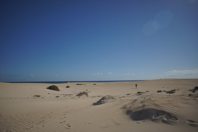 DSC01204