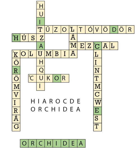 orchidea
