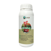 Bonsai