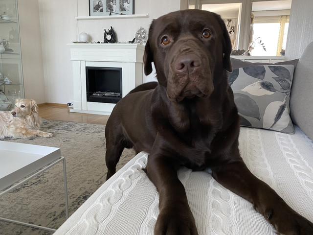 2-F44-A3-AC-2-C6-E-4-ADE-BB06-CD891-EBAD