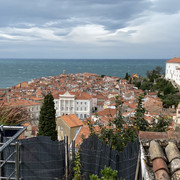 IMG-2345