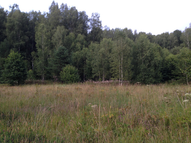 IMG-3976