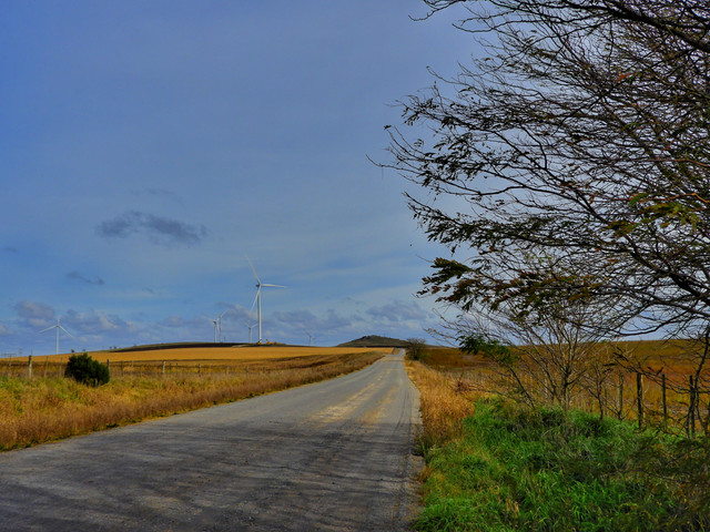 DSCN4977.jpg
