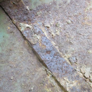 IMG-0429