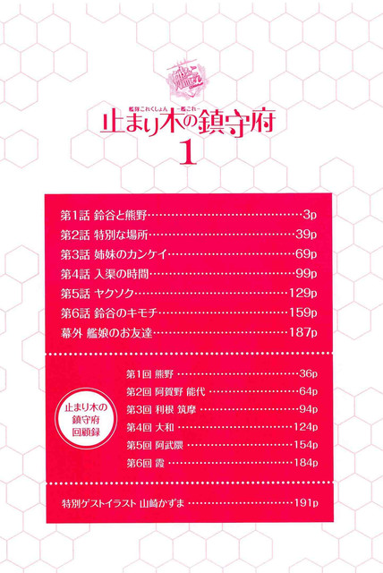 DLRAW-NET-to01004