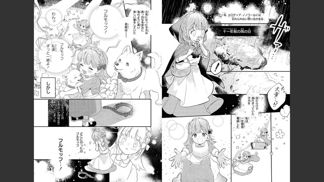 DLRAW-NET-005
