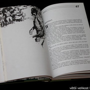 IMG-9406