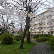 DSC-0008