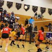 IMG-0083
