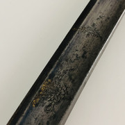 IMG-E4781