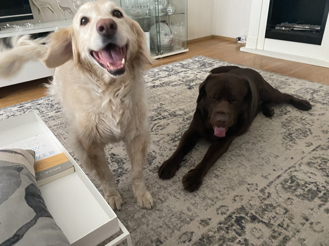 4-F7-B17-EA-EA7-E-4-AD6-B487-7-E304-E099