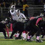 IMG-8429
