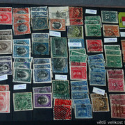 IMG-6831