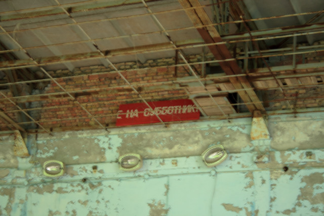 IMG-6079.jpg