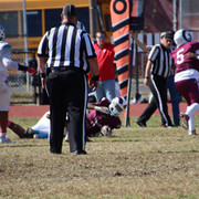 IMG-3317