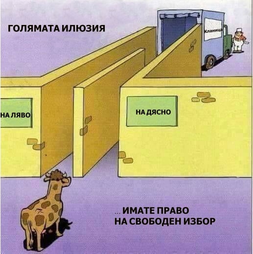 the-choice.jpg