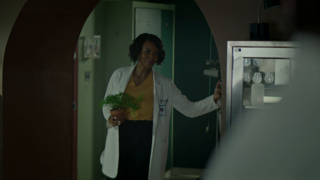frame7