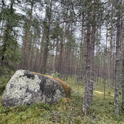 IMG 4985