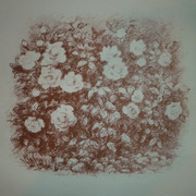 P1200826