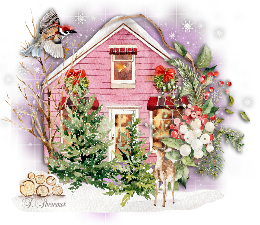 VMD-Country-Christmas-clusters-20
