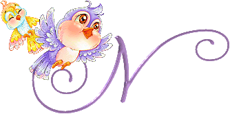 n.gif