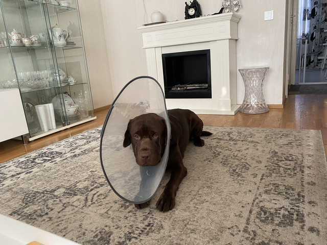 547-ED015-93-F0-4-BC4-9-D3-D-96-BA4-AF4-