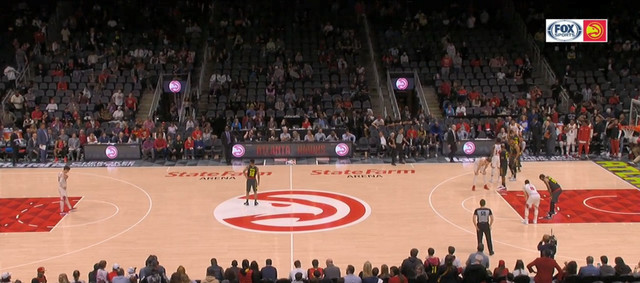 hawks