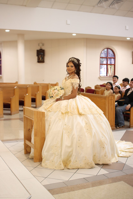 IMG-8236