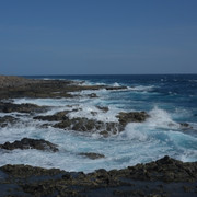 DSCF8191