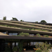 IMG-9519