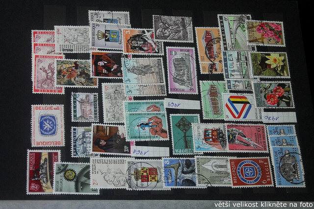 IMG-3443.jpg