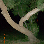 DSCN6903