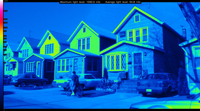 SPI10067-heatmap