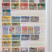 IMG-9207
