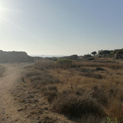 IMG-20210731-181925