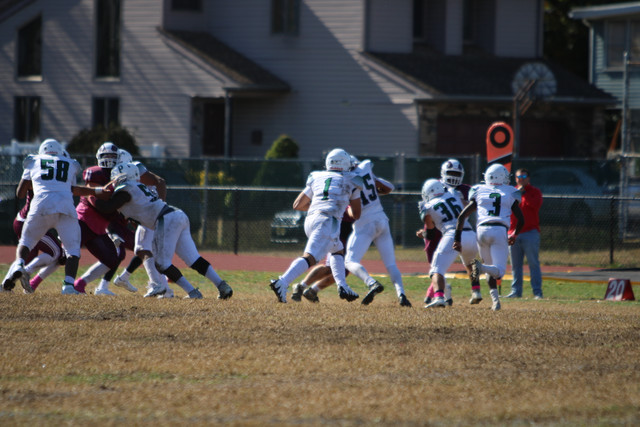 IMG-8226.jpg