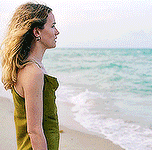 n Untitled 8.gif