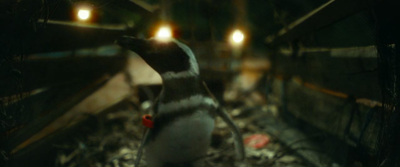 My Penguin Friend Screenshot