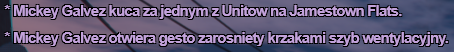 ss2.png