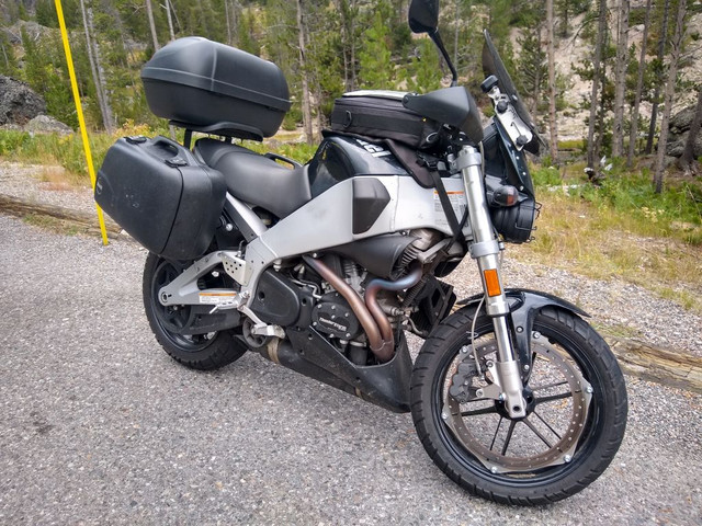 buell1