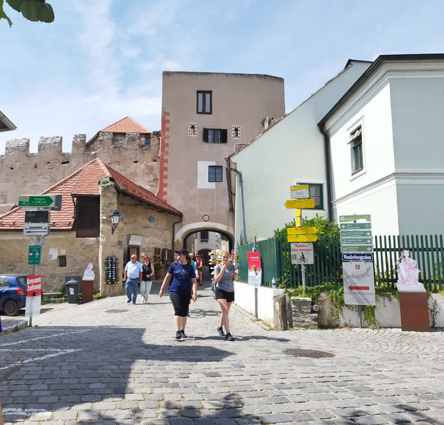DIA 8. Melk a Kremns an der Donau. Sábado 8 de julio - Ruta en bici del Danubio- julio 2023 (24)
