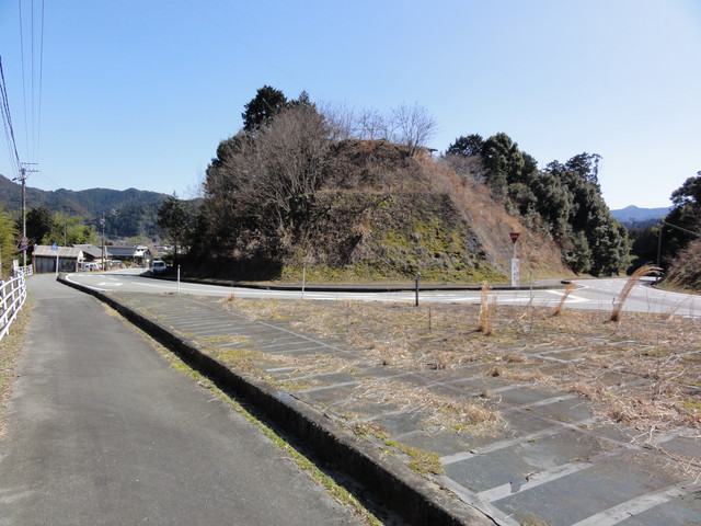 2011-03-05-061