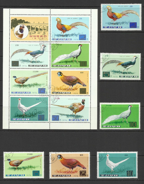 birds 15