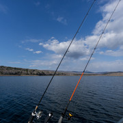 DSC00011